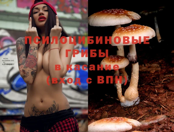 соль курить ск Алзамай