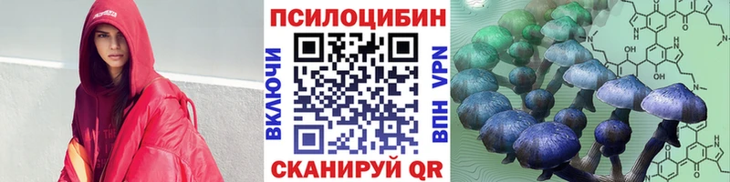 Псилоцибиновые грибы Cubensis  блэк спрут рабочий сайт  Тавда 